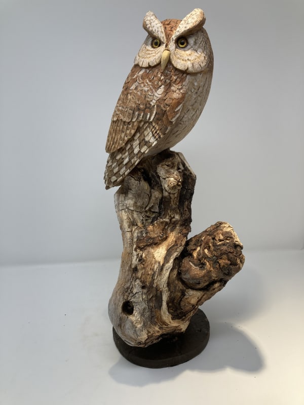 John & Marilyn Davies, Screech Owl