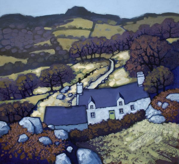 Chris Neale - Cwm Mynach, 2024