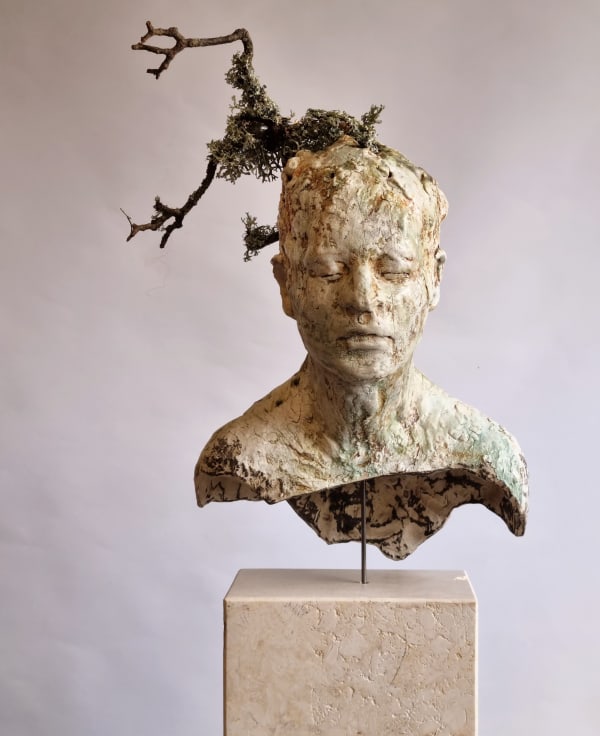 Sharon Griffin, Of the Forest