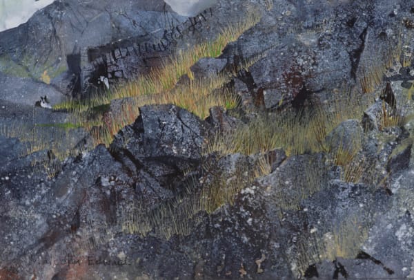 Malcolm Edwards, Cornered Sheep, Nant Ffrancon