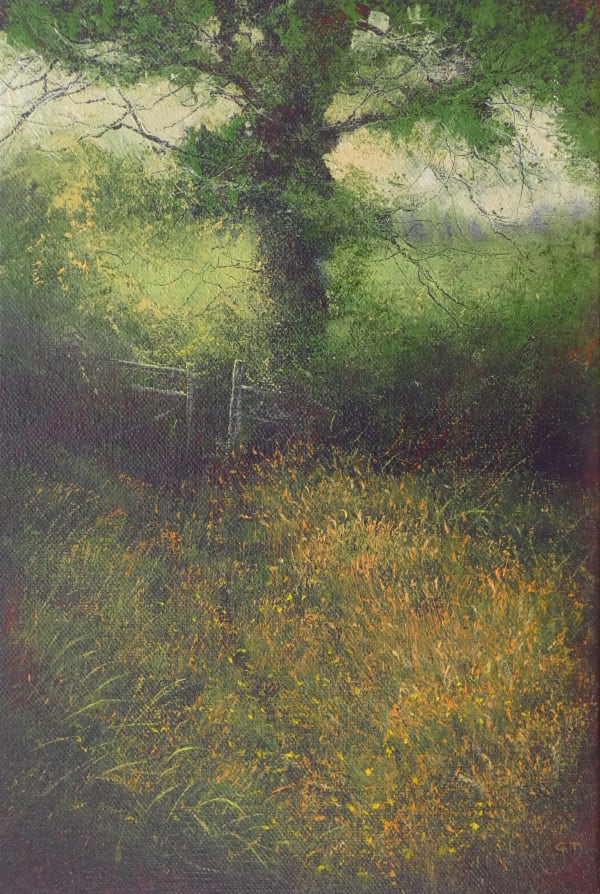 Gerald Dewsbury, Meadow Light, 2025