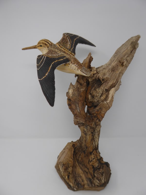 John & Marilyn Davies, Jack Snipe I