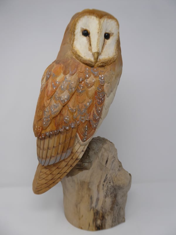John & Marilyn Davies, Barn Owl