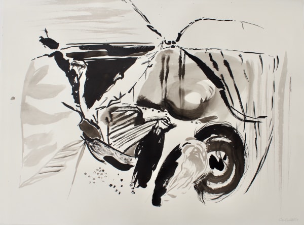 Lisa Carter-Grist, Mynydd y Gaer, November II, 2025