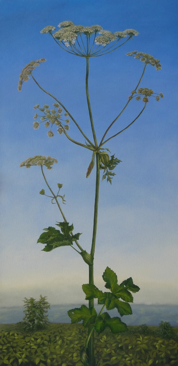 Kim Dewsbury, Spinning to the Song of the Sedge Warbler, 2025