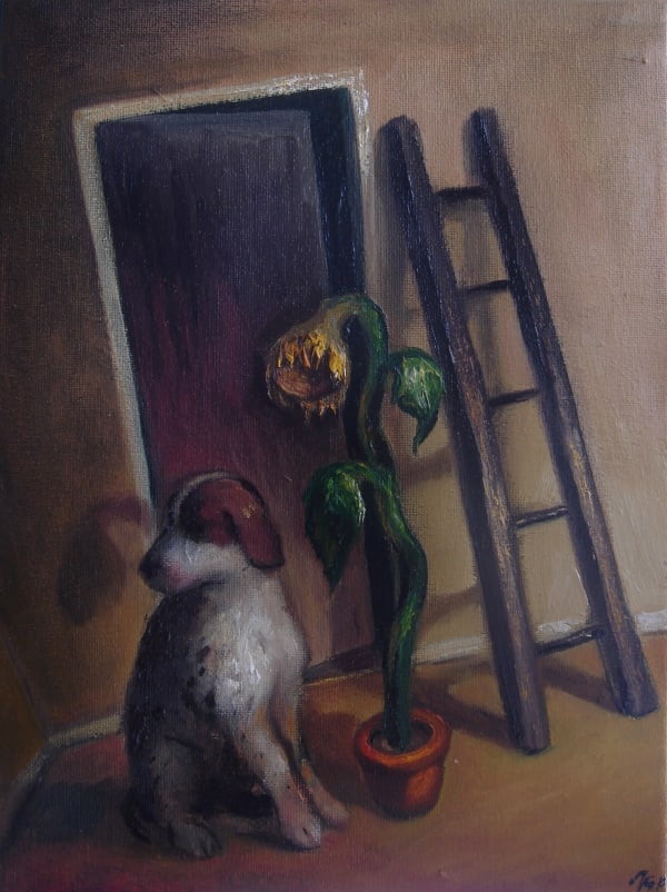 Gustavius Payne, The Useful Object