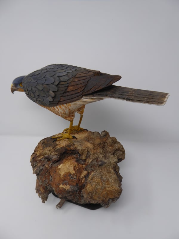 John & Marilyn Davies, Sparrowhawk