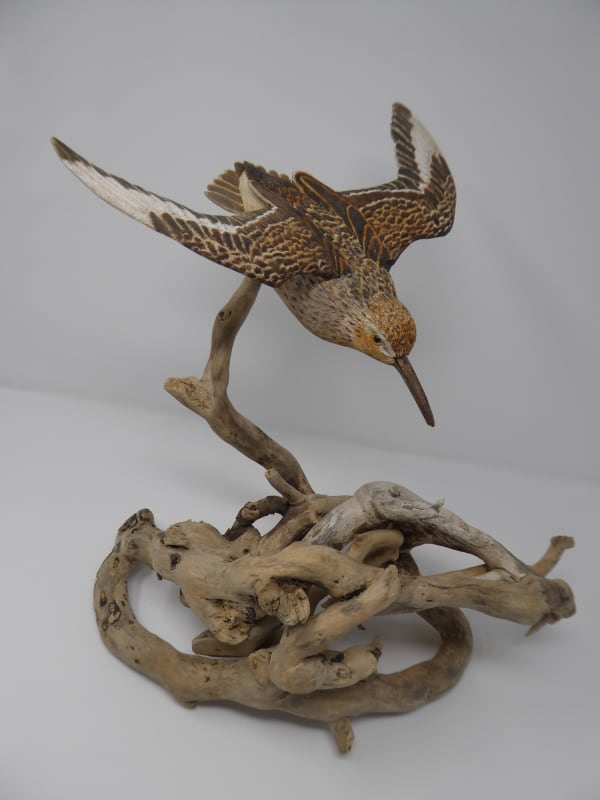 John & Marilyn Davies, Flying Dunlin