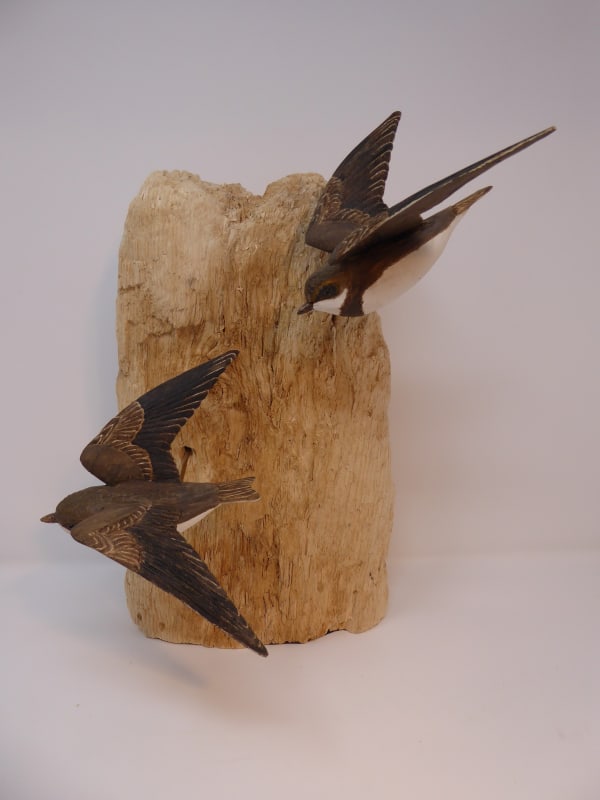 John & Marilyn Davies, Sand Martins