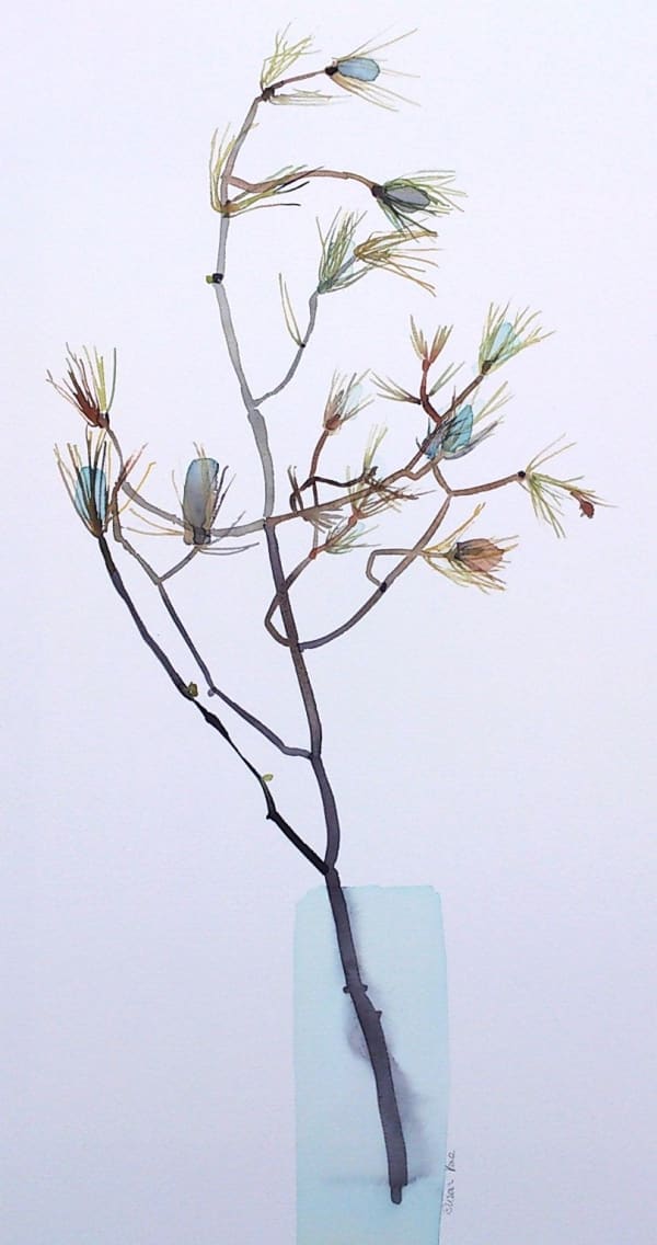 Susan Kane, Winter Sun