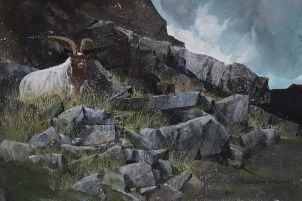 Malcolm Edwards, Gwastadnant Patriarch