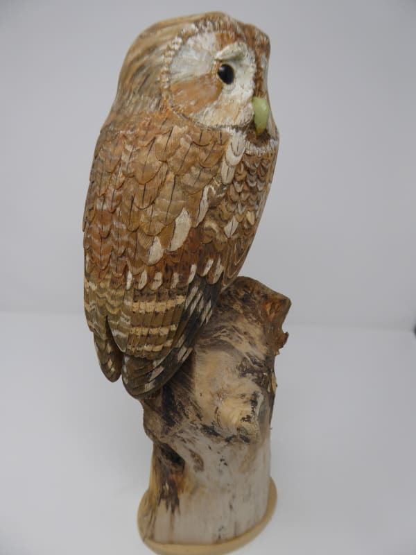 John & Marilyn Davies, Tawny Owl