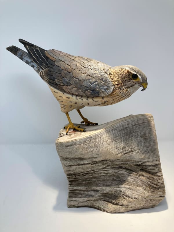 John & Marilyn Davies, Merlin