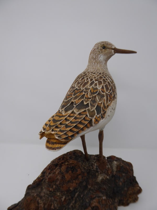 John & Marilyn Davies, Ruff