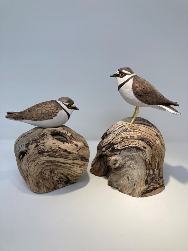 John & Marilyn Davies, Little Ringed Plovers