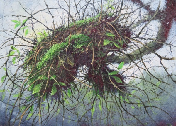 Gerald Dewsbury, Witches Broom