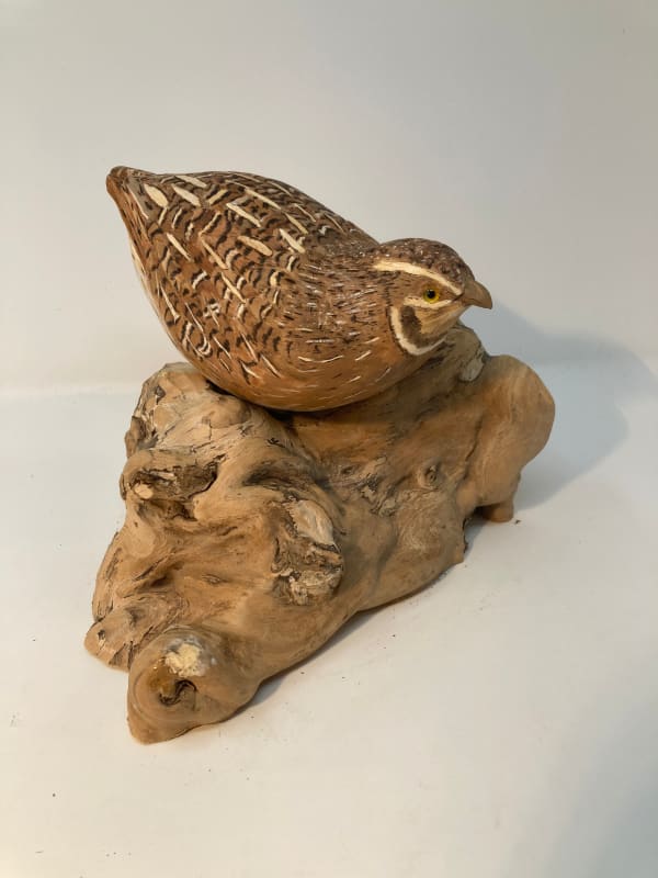 John & Marilyn Davies, Quail, 2025