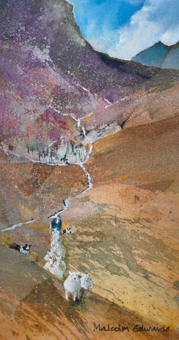 Malcolm Edwards, Moel Llyfnant, 2025