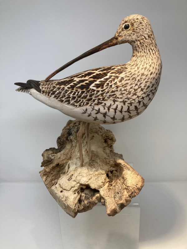 John & Marilyn Davies, Curlew