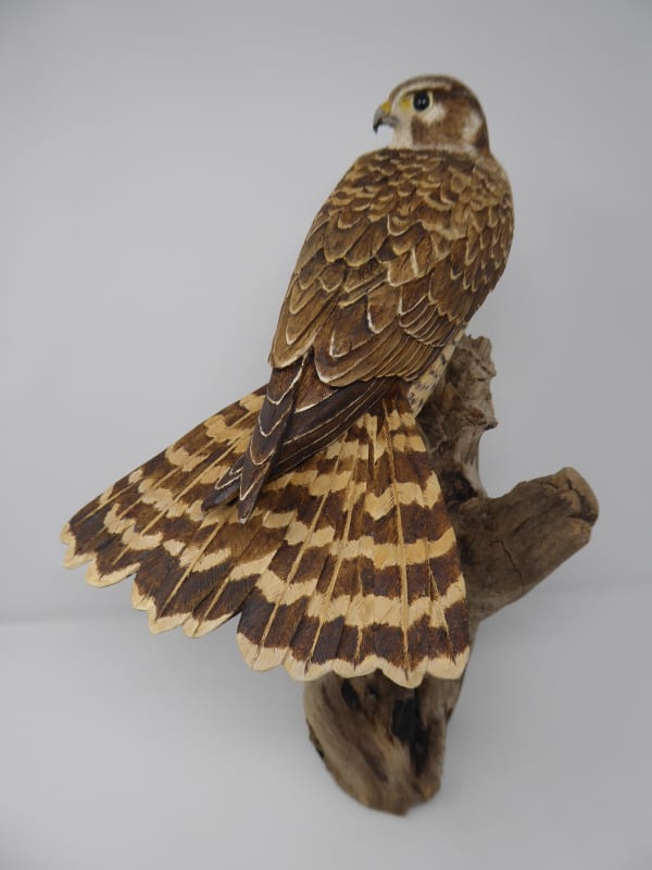 John & Marilyn Davies, Merlin