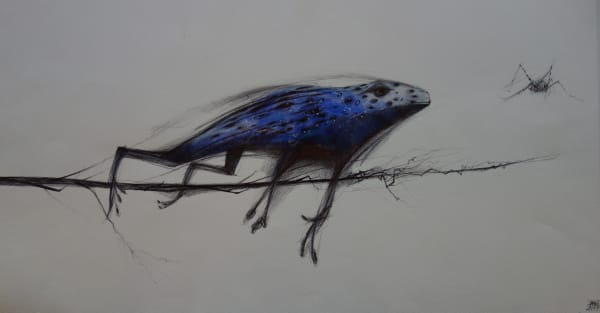 Dewi Tudur, Blue Frog