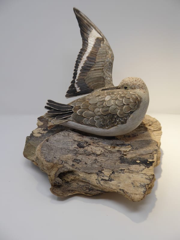 John & Marilyn Davies, Sanderling