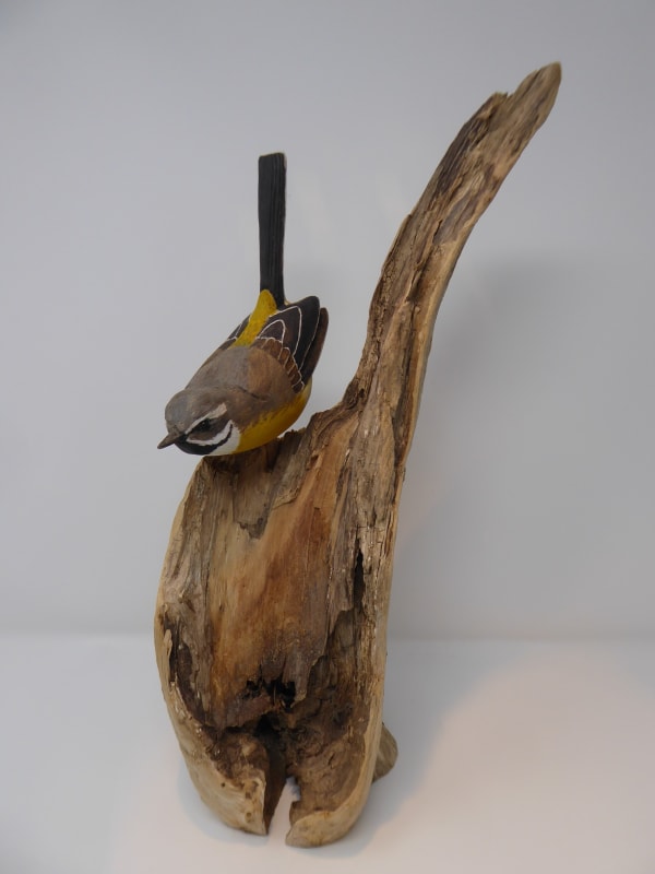 John & Marilyn Davies, Wagtail