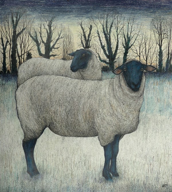 Seren Bell, Suffolks, 2025