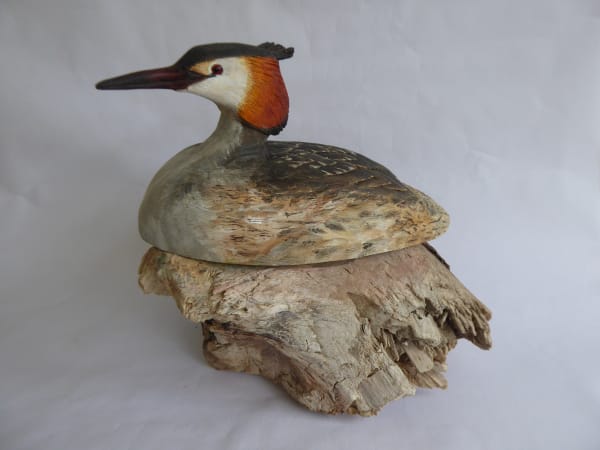 John & Marilyn Davies, Great Crested Grebe