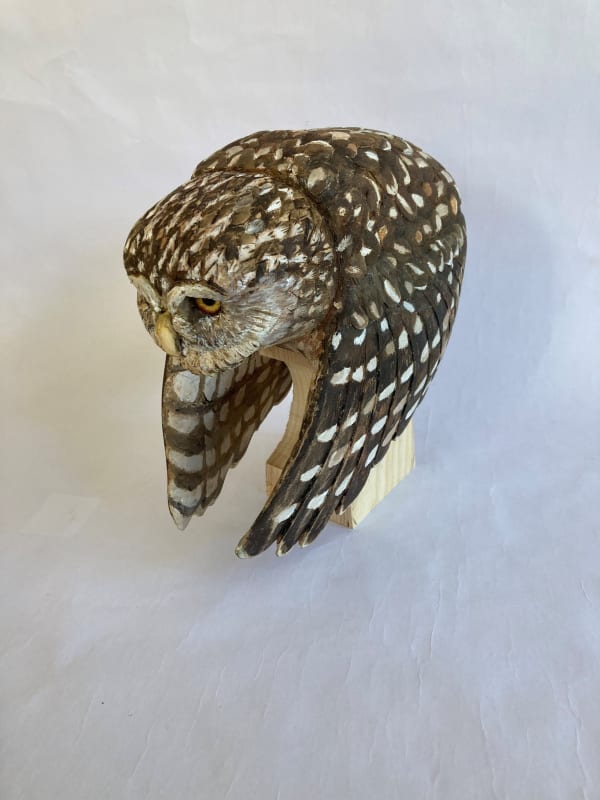 John & Marilyn Davies, Little Owl