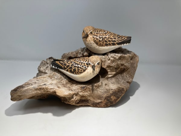 John & Marilyn Davies, Little Stints, 2024