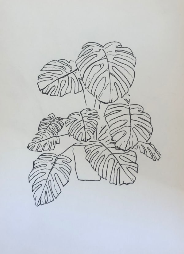 Ania Magliano, Monstera plant, 2019
