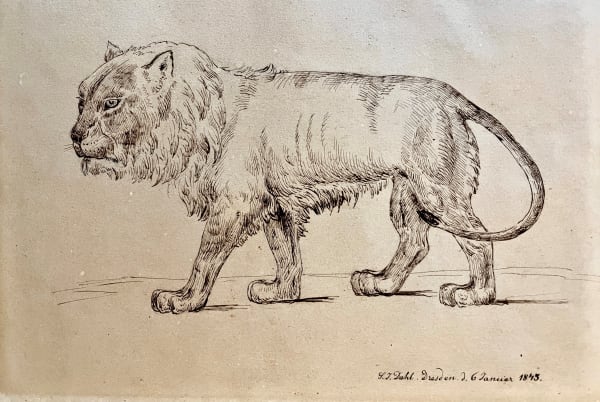 Johan Christian Klausson Dahl, STUDY OF A PROWLING LION, 1845