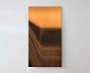 Sam Burford, Return to Tyrell, 2009