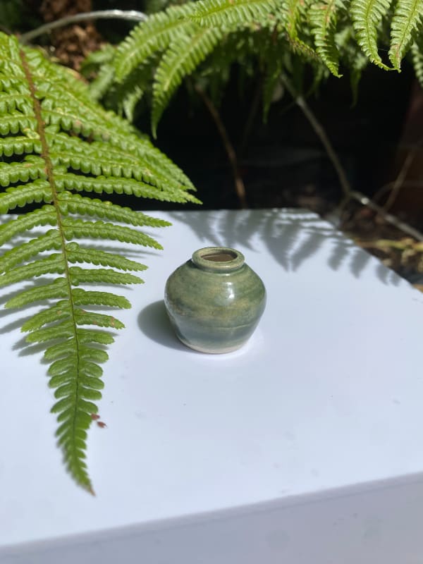 Tilly Slight, Washed natural green, 2025