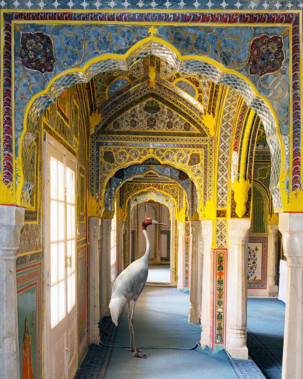 Karen Knorr, 089 A Steadfast Friend, Zanana, Samode Palace, 2022