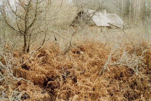 Matt Wilson, Sans titre 06, 2015-2020