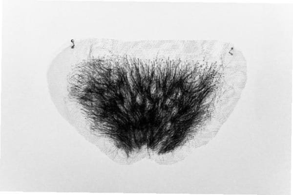 Laia Abril, Merkin, 2019