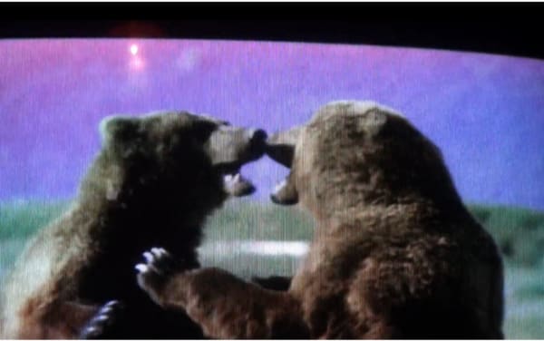 Amie Barouh, Je peux changer mais pas à 100%, 2019