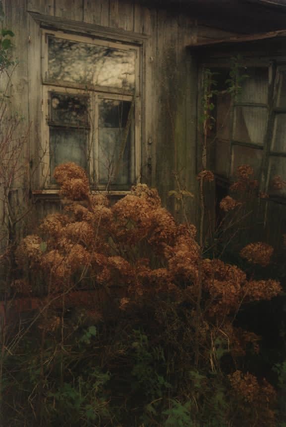 Matt Wilson, Sans titre 10, 2015-2020