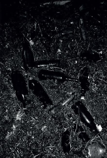 Paulo Nozolino, Beirã, 2012