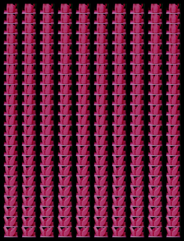 Antoine d'Agata, PINK, Japon 2007, 2016