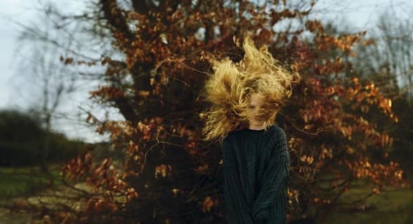 Ellen Kooi, Haarlem - wies, 2016