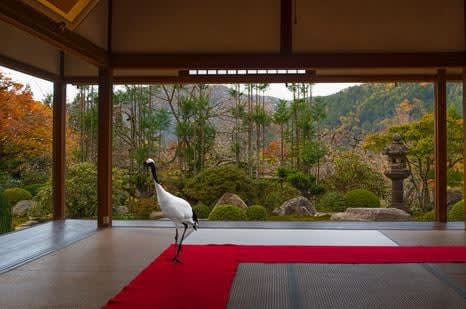 Karen Knorr, Monogatari, Journey to the Great Sage , Jikko -inTemple, 0hara, 2015