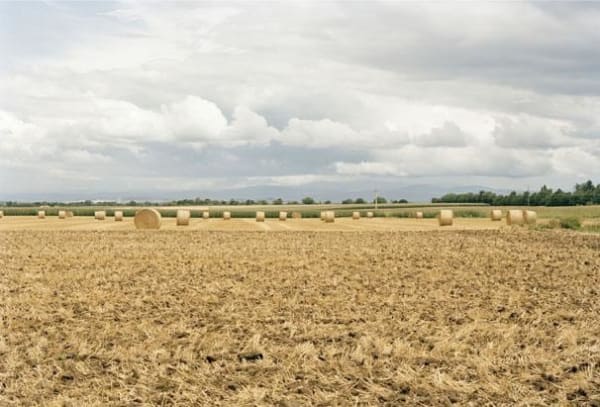 Thibaut Cuisset, Sans titre #24, Campagne Française, 2009-2010