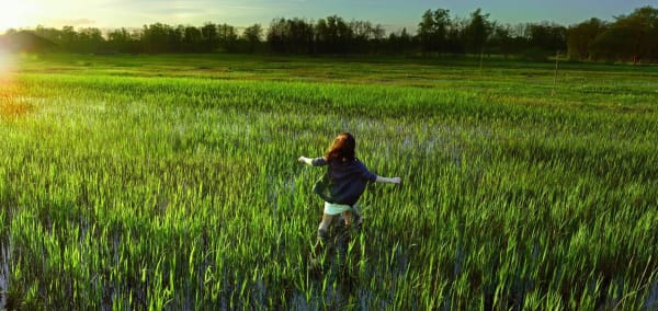 Ellen Kooi, Dwarsgracht - waterland, 2015