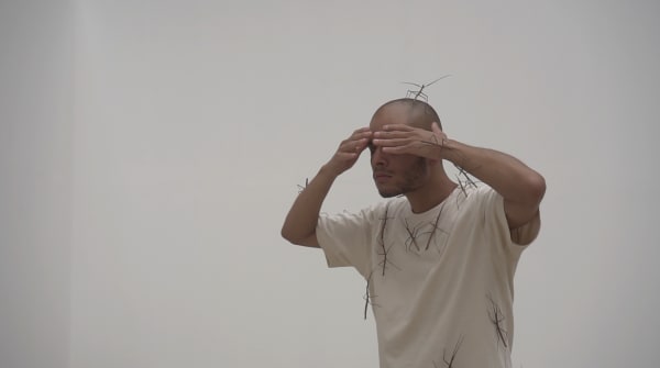 Felipe Vasquez, Film, 2024