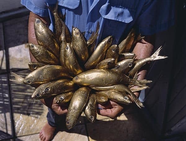 Thierry Fontaine, Le pêcheur, 2015