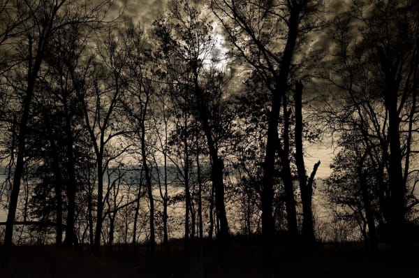 Todd Hido, 12077-0184, 2022