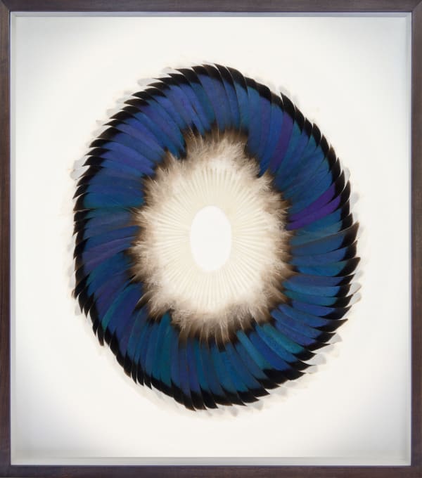 Kate MccGwire, SEPAL SPECULUM ELLIPSE I, 2025